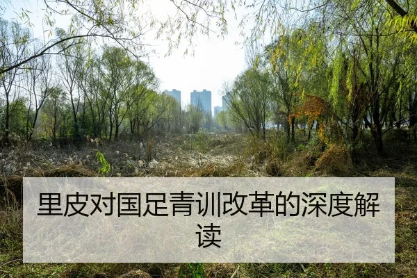 li-pi-dui-guo-zu-qing-xun-gai-ge-de-shen-du-jie-du-2-789.jpg